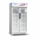 Réfrigérateur Vitrine Astech 740 litres double porte