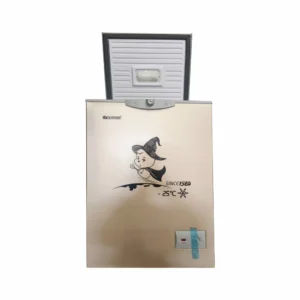 Congelateur Snowsea 190 Litres Gold